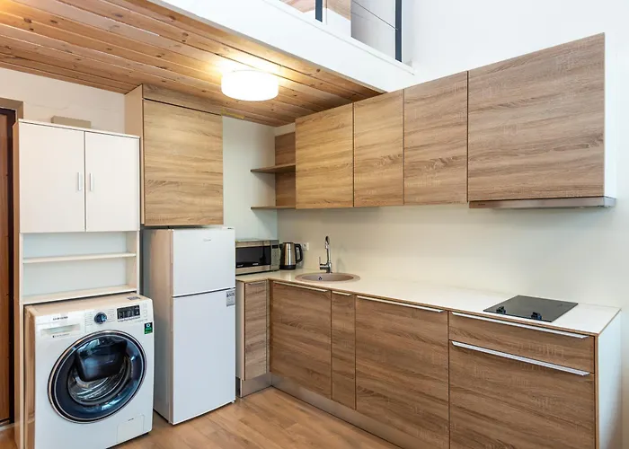 Ganyklu G. Apartment *